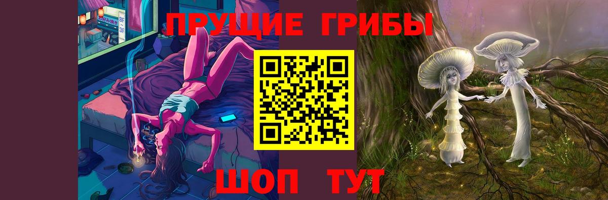 Псилоцибиновые грибы Psilocybine cubensis Мурино